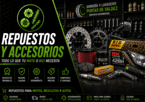 Repuestos y Accesorios