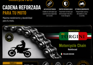 Cadena Forgini 428H x 134L