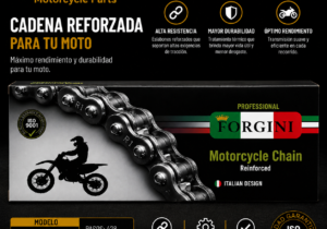 Cadena Forgini 428H x 110L